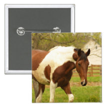 Roaming Paint Horse Button
