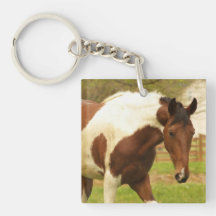 Roaming Paint Horse Keychain Square Acrylic Keychains