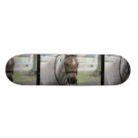 Roan Pony Skateboard