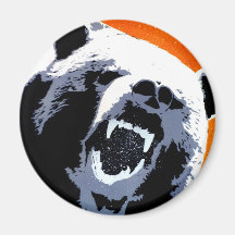 ROAR - Magnet