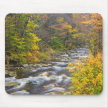 Roaring Brook in fall in Vermont's Green 2 Mousepad