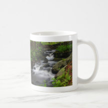 Roaring Brook in Spring Petersham Massachusetts Mugs