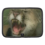 'Roaring Cougar' Organizer