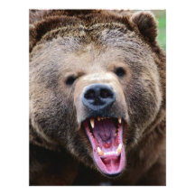 Roaring Grizzly Bear Letterhead