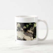 Robbers Cave Coffee Mug