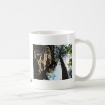 Robbers Cave Mug