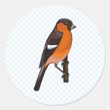 Robbie Robin Stickers