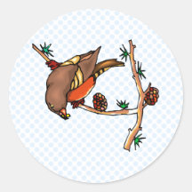 Robby Robin Stickers
