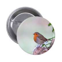 Robin Button