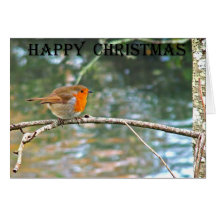 Robin Christmas Card,