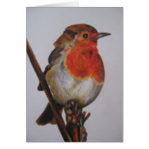 Robin Christmas Card - Just add your own text!