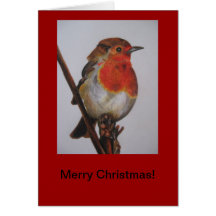 Robin Christmas Card - Merry Christmas!