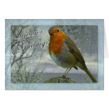 Robin Christmas Card, Season's Greetings