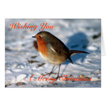 Robin Christmas Cards