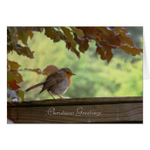 robin , Christmas Greetings Greeting Card