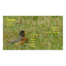 Robin dans l'herbe - calendrier 2011 carte de visite