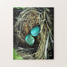 Robin Egg Bird Nest Puzzle