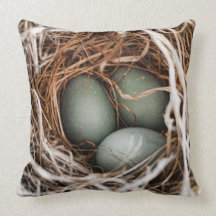 Robin Egg Blue Bird Nest Spring Mother Pillow