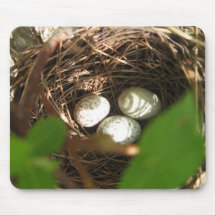 Robin Egg Mouse Pad