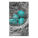 Robin Eggs Grunge Business Card Template