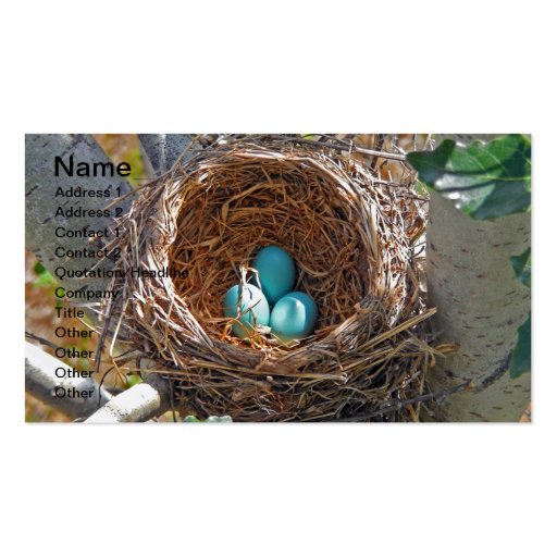 Robin Eggs in a Backyard Tree Nest Business Card Template