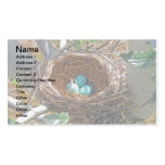 Robin Eggs in a Backyard Tree Nest Business Card Template