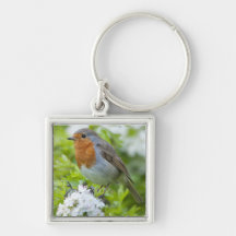 Robin in Blossom Keychain