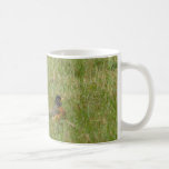 Robin in the Grass Mug