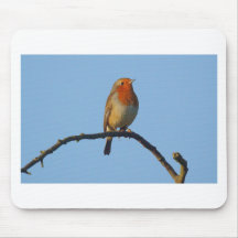 Robin Mouse Pads