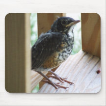 "Robin" Mousepad