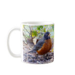 Robin mug