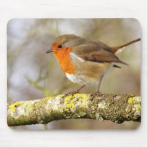 Robin on Branch Mouse Pads
