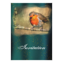 Robin Party Announcement Invitation