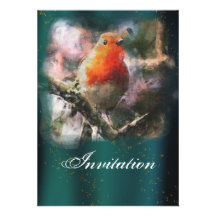 Robin Party Announcement Invitation