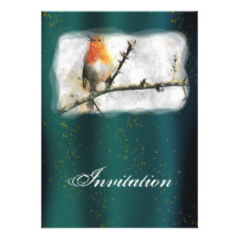 Robin Party Announcement Invitation