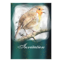 Robin Party Announcement Invitation