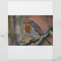 Robin photo personalized flyer