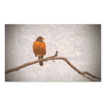 Robin Photo with Damask Swirl Design