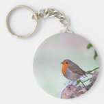 Robin Porte-clefs