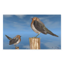 ROBIN RED BREAST