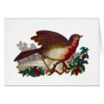 Robin Redbreast and Holly Victorian Card