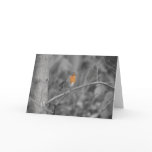 Robin Redbreast Christmas Card