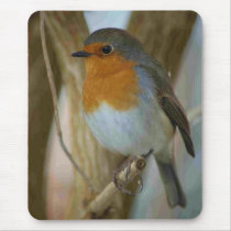 Robin Redbreast Mousepads