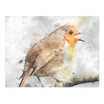 Robin Redbreast Post Cards