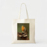 Robin Singing Bag