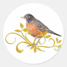 Robin Stickers