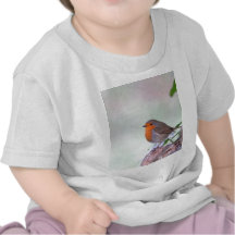 Robin T Shirt