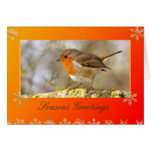 Robin Template Christmas Card