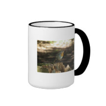 Robin Wood Mugs