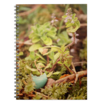 Robin's Egg and Wildflowers Notebooks